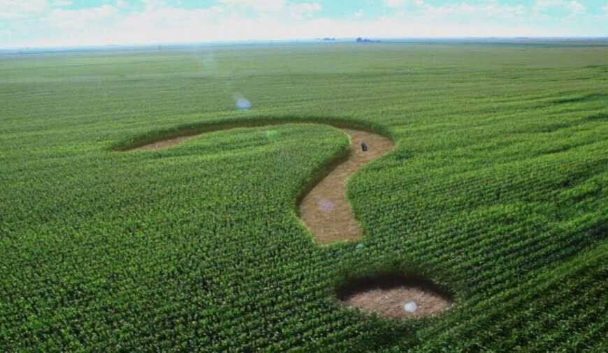 Ринок землі в Україні: скільки коштуватиме гектар