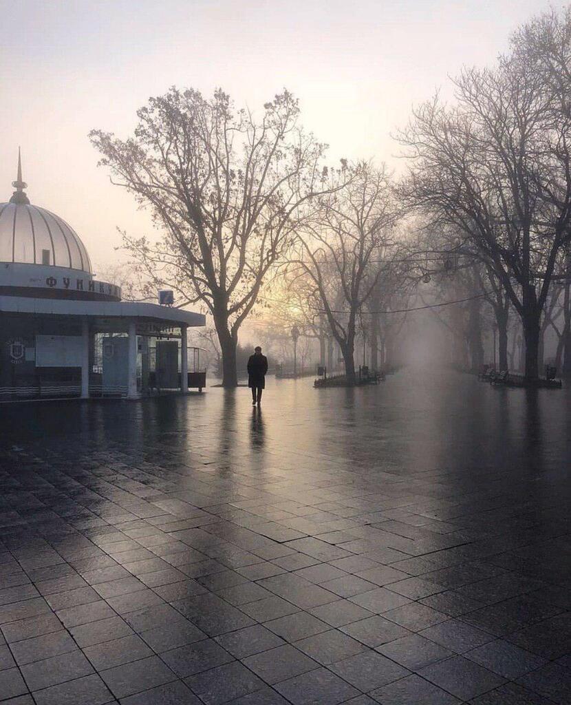 Синоптики обіцяють Одесі тумани
