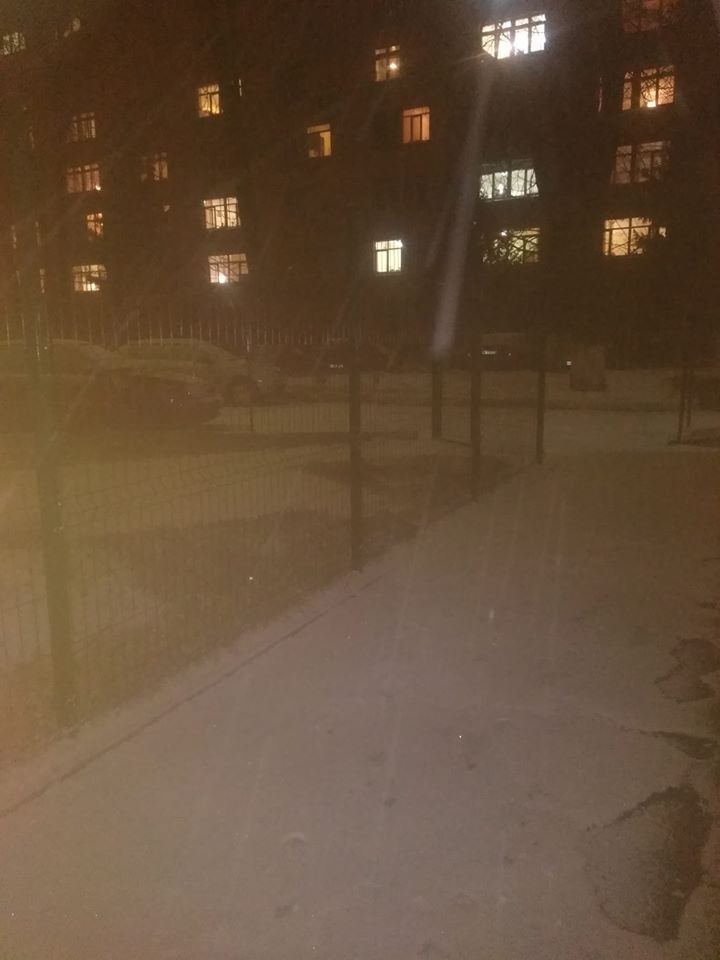 В Киеве выпал первый зимний снег