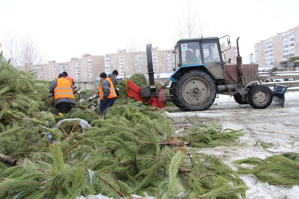 "Киевзеленбуд" открыл в Киеве 10 пунктов по утилизации новогодних елок
