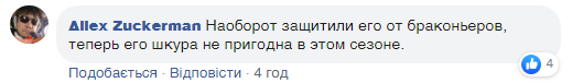 Коментарі до посту