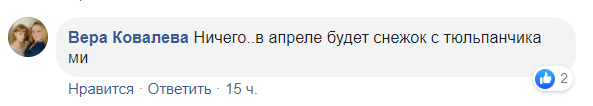 Гриби і квіти в грудні: на Дніпропетровщині природа "дала збій" через аномальну погоду