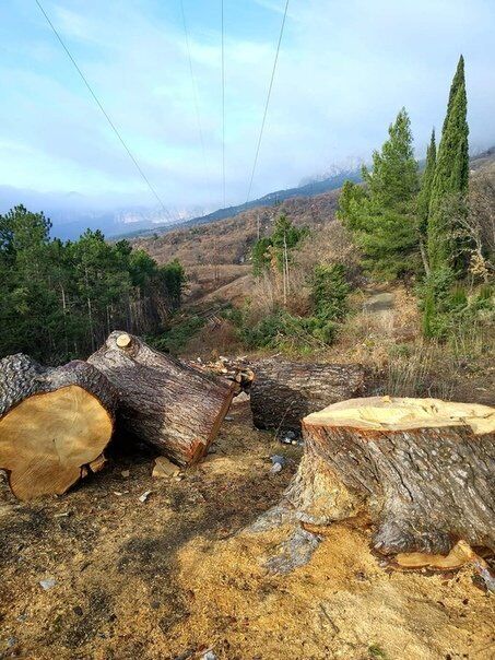 Новости Крымнаша. Севастополь молчит - но молчит на русском