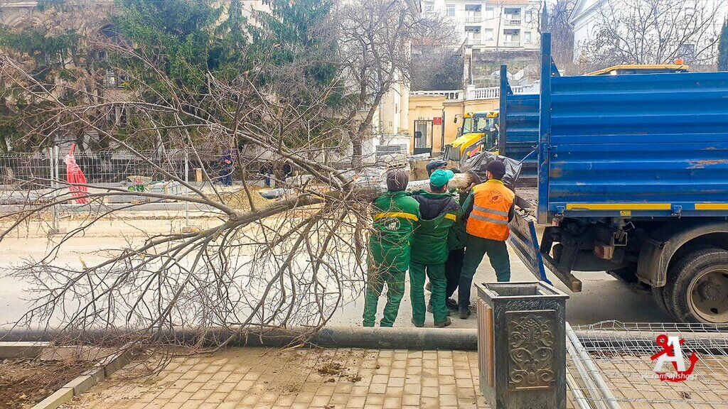 На улице Большой Морской в Севастополе спилили все деревья