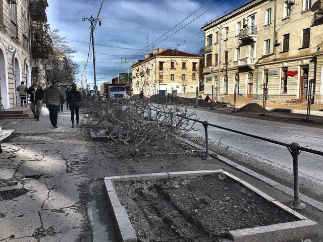 На улице Большой Морской в Севастополе спилили все деревья