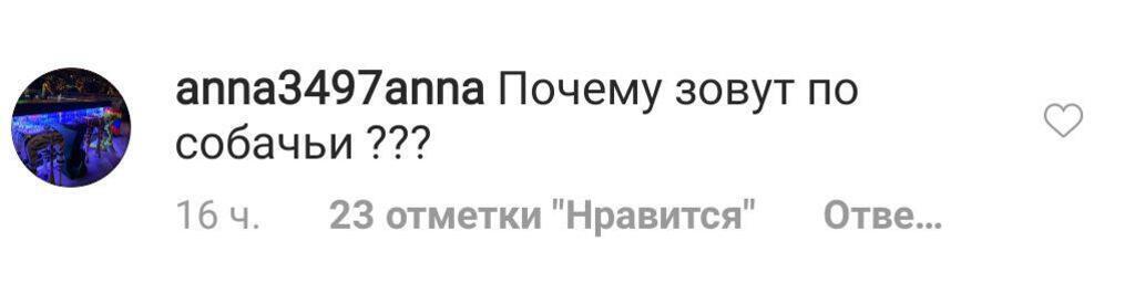 "Собаку так зовут": популярную в РФ певицу затравили за необычное имя дочки