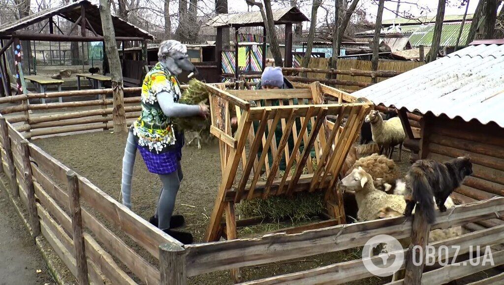 Директор Одеського зоопарку зняв відео, вбравшись щуром