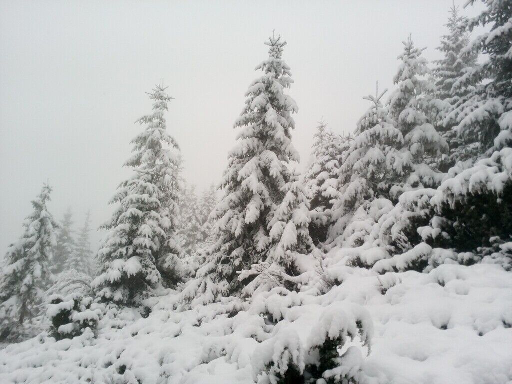 Снег на черногорском хребте