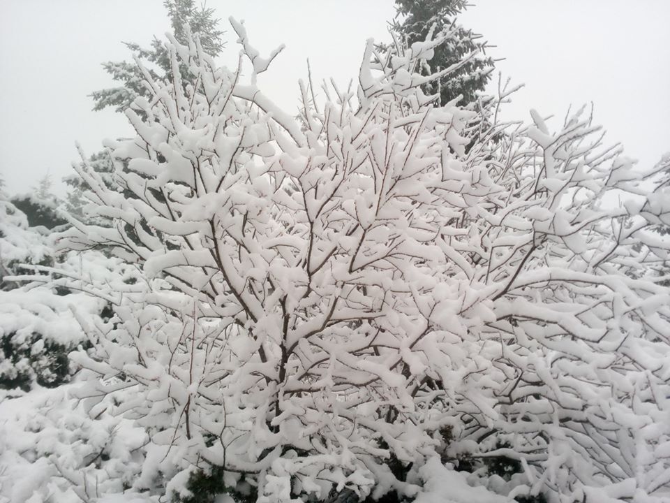 Снег на черногорском хребте