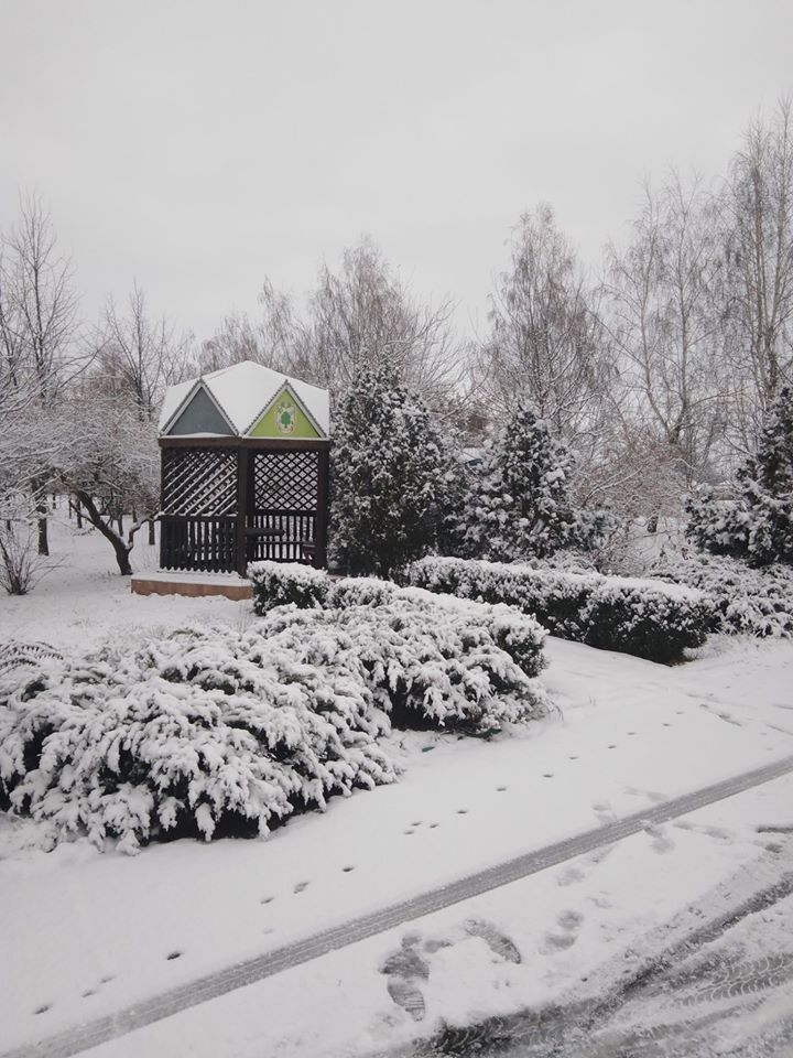 Ліс на півночі Одещини засипало першим снігом