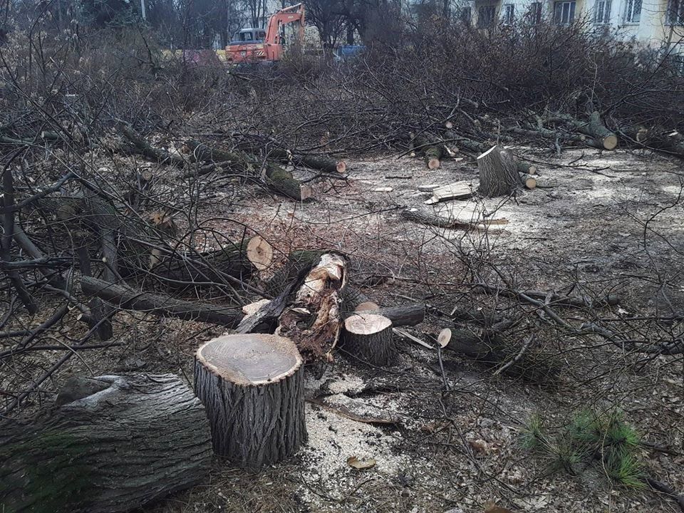 В Симферополе срубили все деревья перед жилым домом