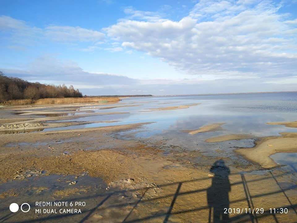 Озеро Свитязь катастрофически обмелело