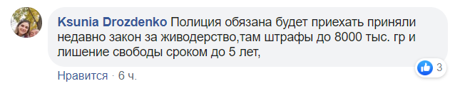 "Чия дитина наступна?" Мережу розлютив п'яний водій під Дніпром, який переїхав собаку