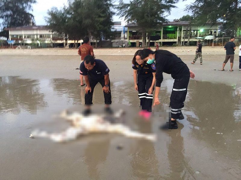 На популярных курортах Таиланда нашли трупы без головы: устрашающие фото