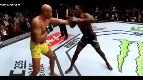 Бійці UFC влаштували "Матрицю" і "Мортал Комбат" у реальному житті — опубліковане відео