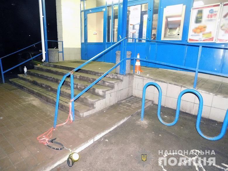 Натравил пьяный хозяин: в Киеве разгорелся спор вокруг застреленной полицейскими бойцовской собаки