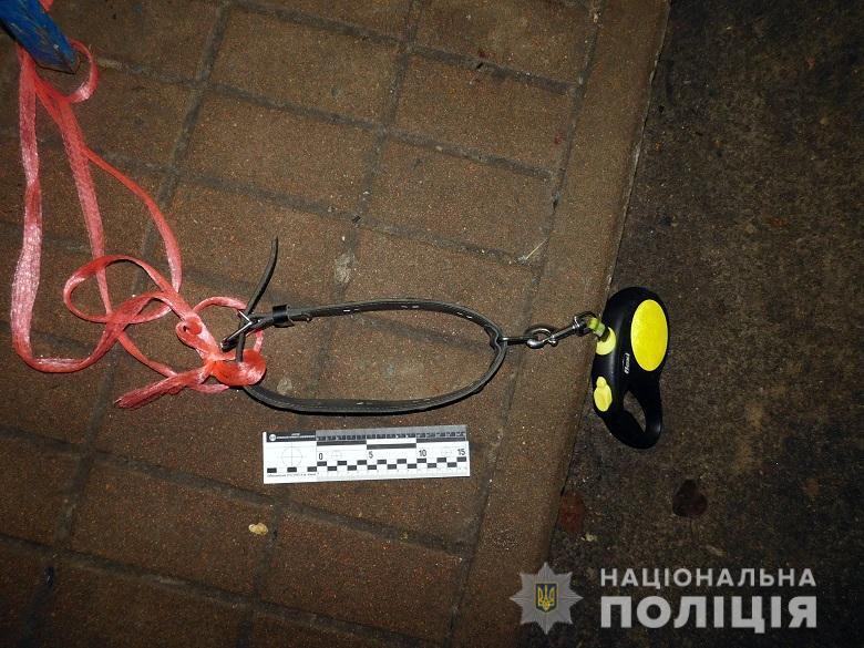 ÐаÑÑавил пÑÑнÑй Ñ
озÑин: в Ðиеве ÑазгоÑелÑÑ ÑÐ¿Ð¾Ñ Ð²Ð¾ÐºÑÑг заÑÑÑеленной полиÑейÑкими бойÑовÑкой Ñобаки