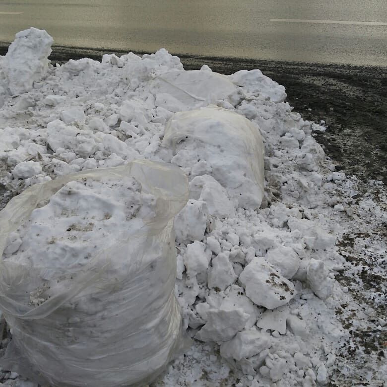 У Росії до приїзду Путіна місто завалили снігом і зрубаними ялинками