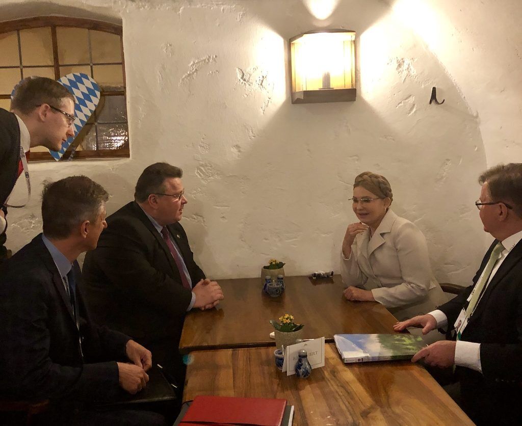 Юлия Тимошенко встретилась с министром иностранных дел Литвы