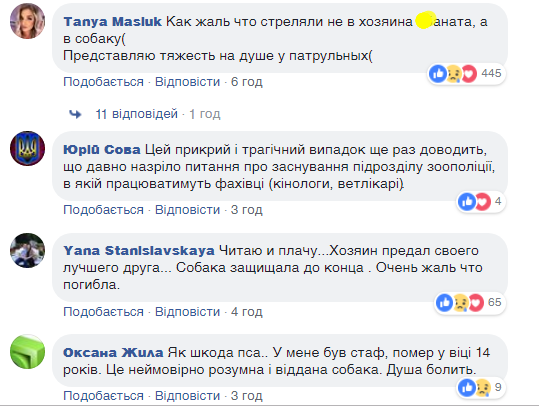 Натравил пьяный хозяин: в Киеве разгорелся спор вокруг застреленной полицейскими бойцовской собаки