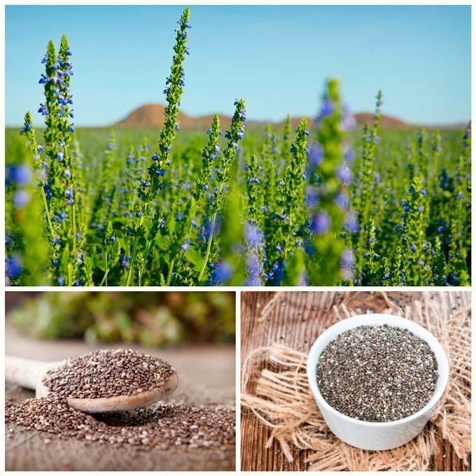 Названо топ-10 найпоживніших продуктів