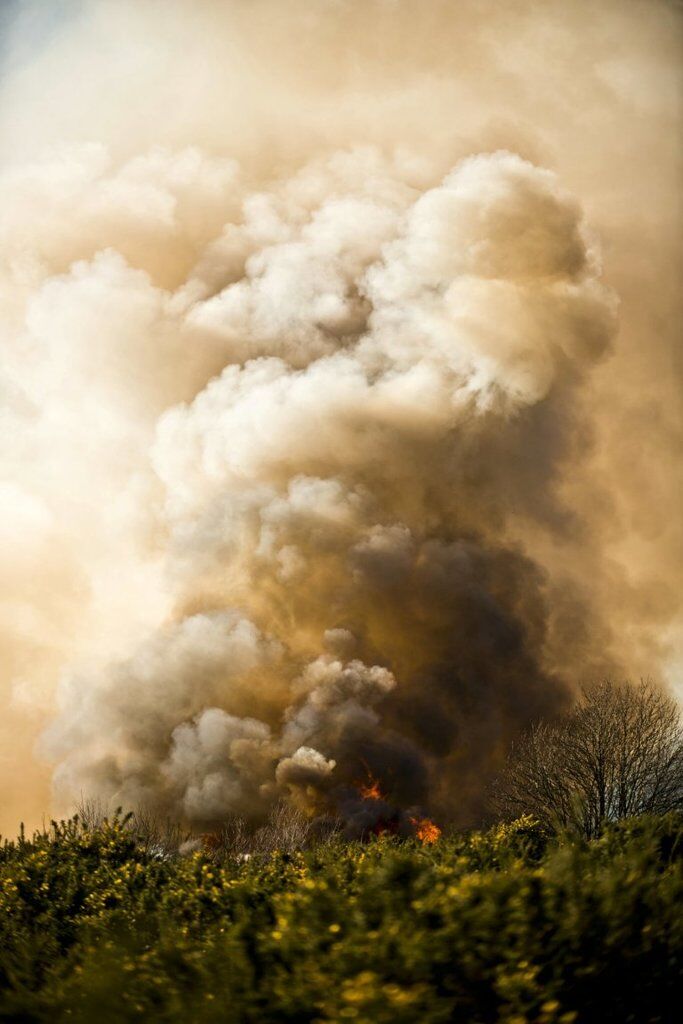 Пожежі у Британії через аномальну спеку