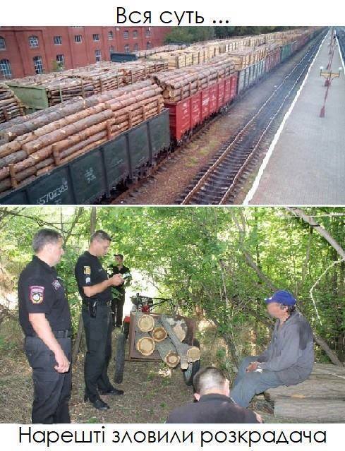 "Семь бревен – это кража, а вагонами – бизнес": в сети высмеяли борьбу с вырубкой леса в Украине