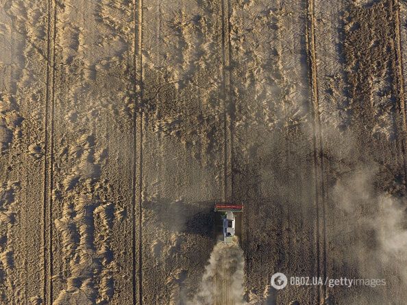 Украинцы тратят половину доходов на продукты: названа причина