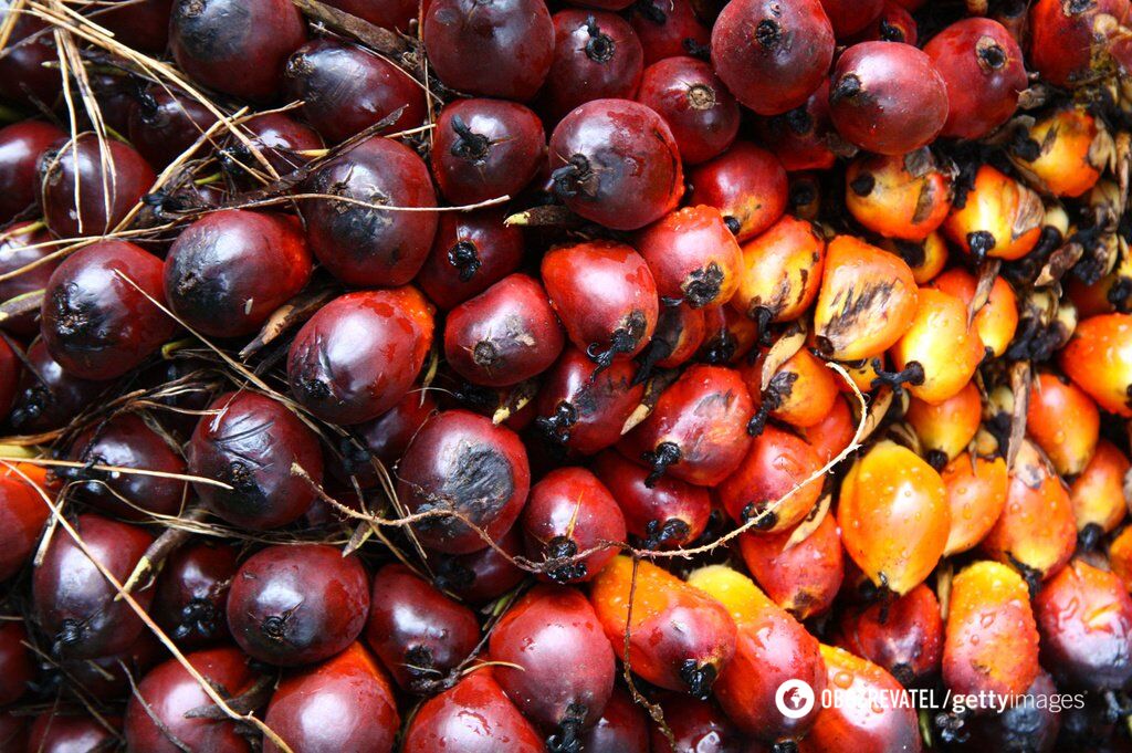 Із таких плодів роблять пальмову олію
