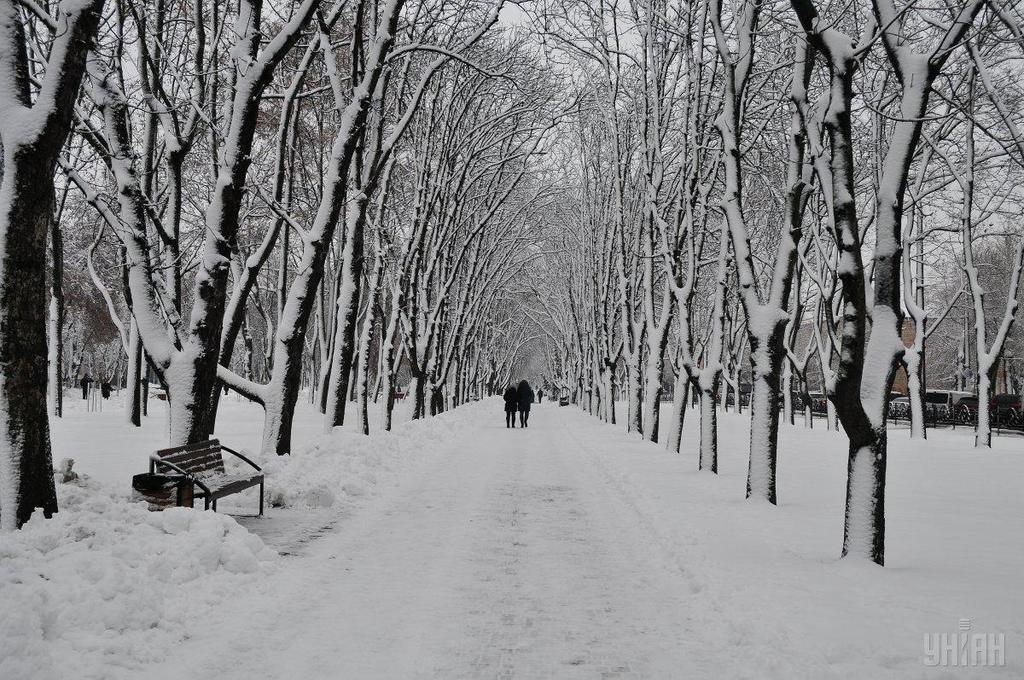 Морози до -30? Синоптики уточнили прогноз погоди для України на лютий