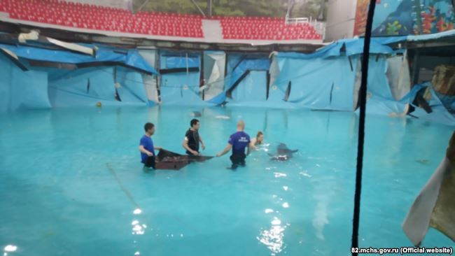 В дельфинарии Крыма лопнул аквариум