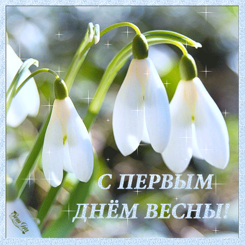 Первый день весны: оригинальные картинки и открытки