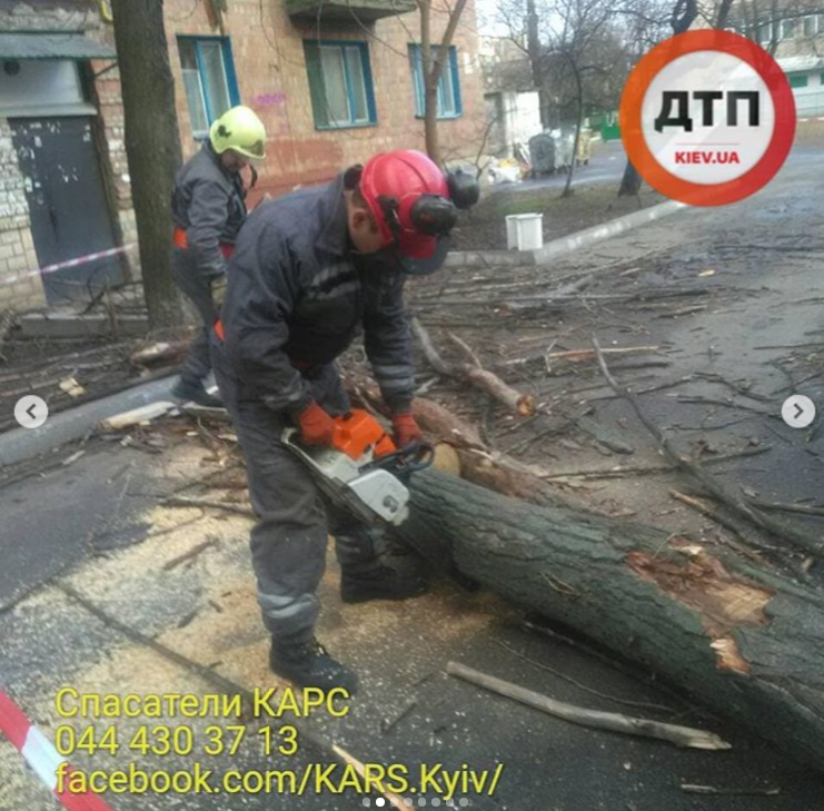 Падали деревья, срывало конструкции: Киев накрыл мощный ураган. Жуткие фото последствий