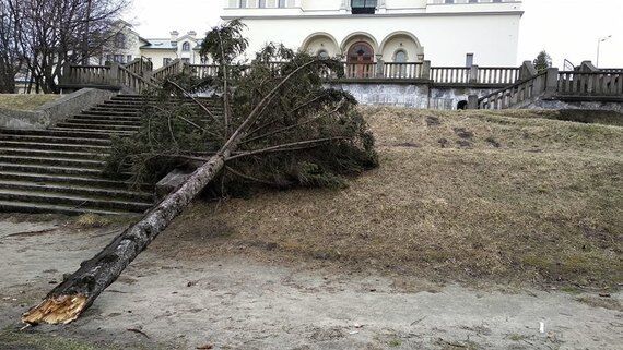 Львівська область