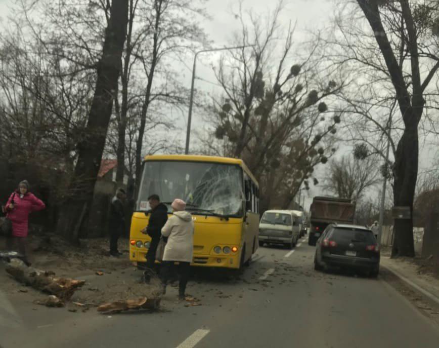 У Києві ураган зламав дерева і зніс дахи: є постраждалі