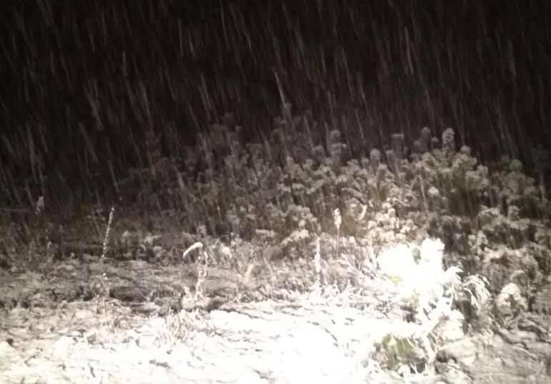 "С регулярным мартовским снегом!" В сети показали фото непогоды во Львове