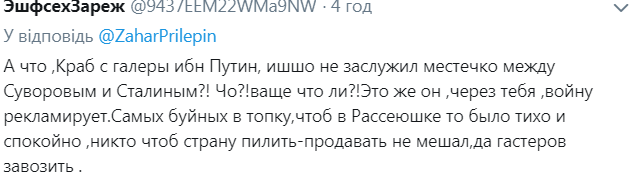 "Гитлера и Путина забыли": Чичерина опозорилась в сети одой террористам "Л/ДНР"