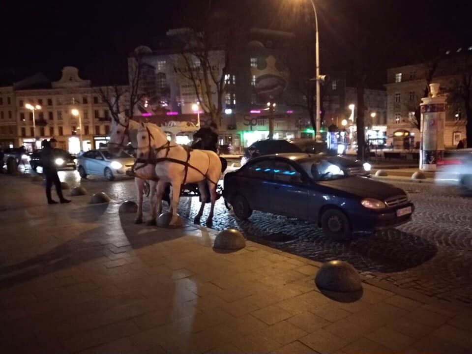 У центрі Львова карета з кіньми втрапила в п'яну ДТП: опубліковано відео