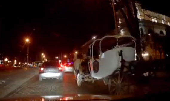У центрі Львова карета з кіньми втрапила в п'яну ДТП: опубліковано відео