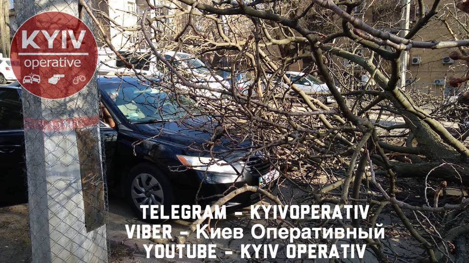 В Киеве ветром свалило деревья
