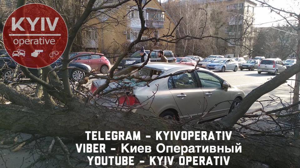 В Киеве ветром свалило деревья