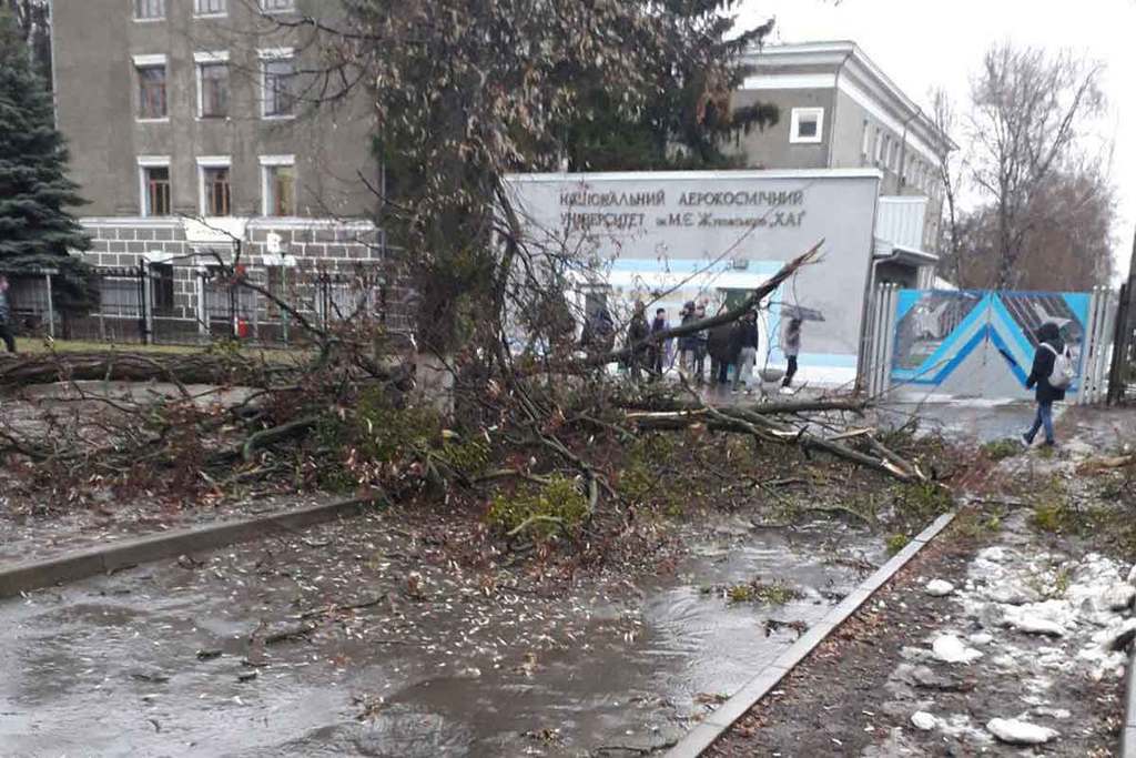 Снег, ураганы и град: появились фото погодного армагеддона в Украине
