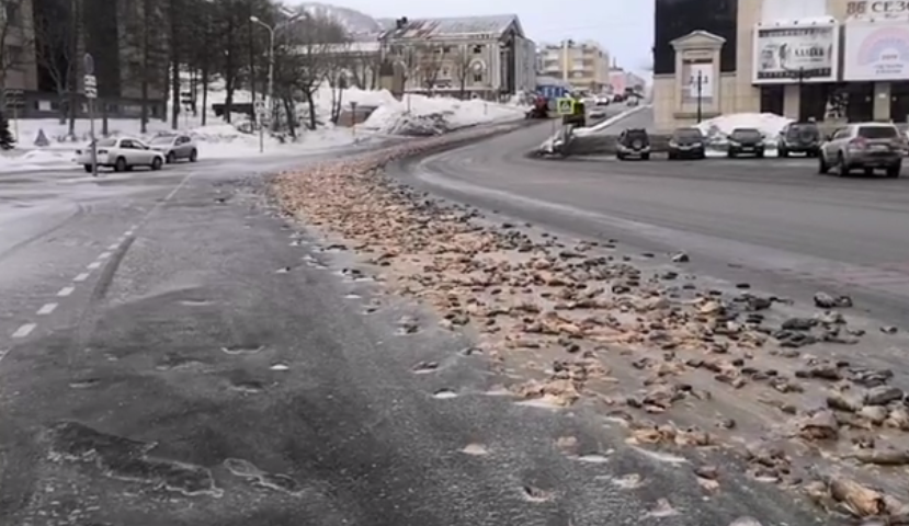 Російське місто завалило тисячами риб'ячих голів: моторошні кадри