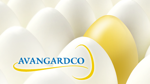 "Авангард" возглавил топ-9 украинских компаний-экспортеров яиц
