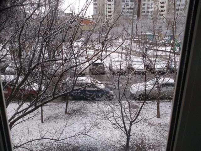 Україну засипало снігом: яскраві фото