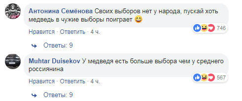 Ведмедиця передбачила, хто стане президентом України