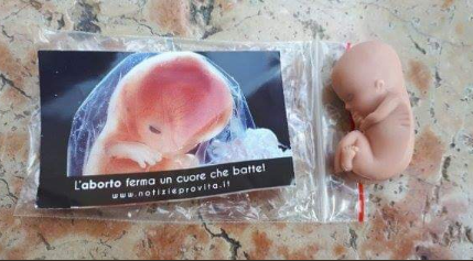  Пластиковые зародыши и эмбрионы в целлофане: в Италии вспыхнул громкий скандал 