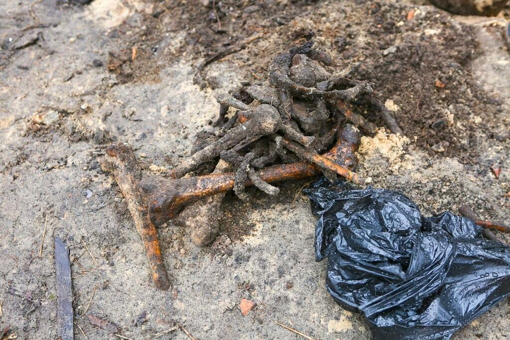 На пустыре в Киеве нашли человеческие останки: фото 18+