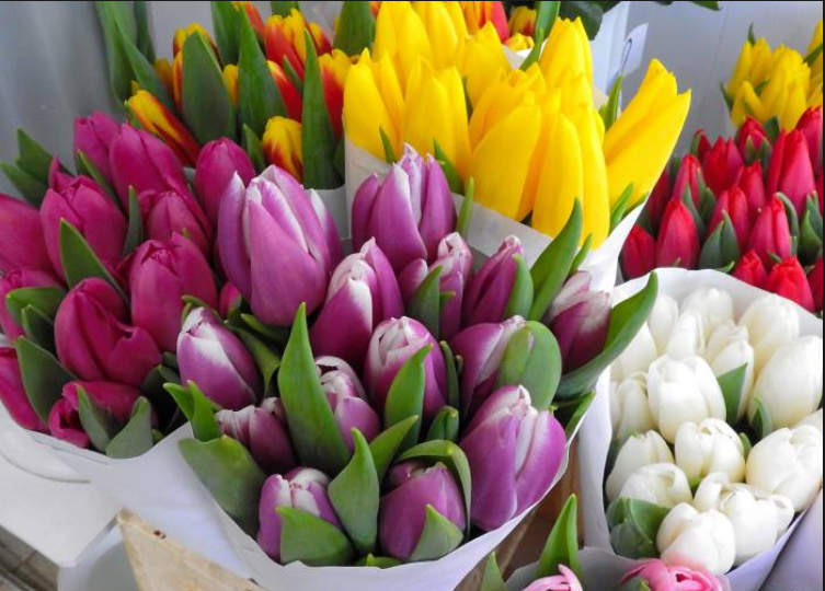 Как выбрать цветы к 8 Марта: советы экспертов