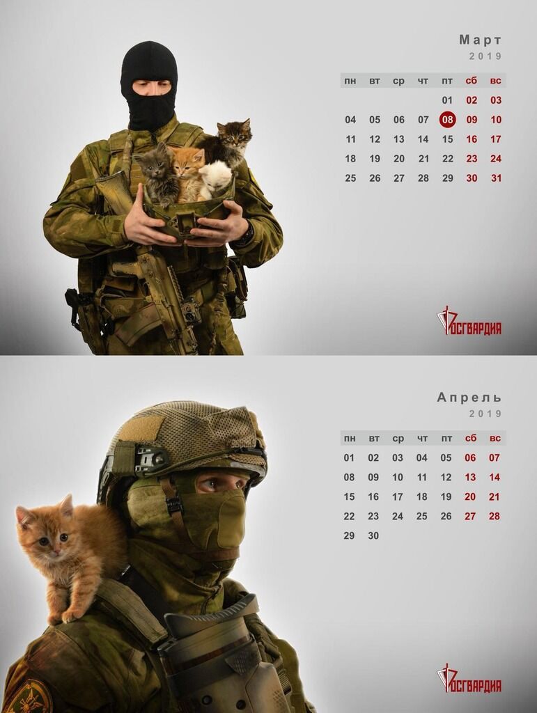 У РФ випустили календар із "ввічливими чоловічками" і котиками